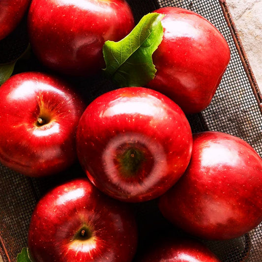 Bhaddie Apple┃ Handcrafted Artisan Perfume