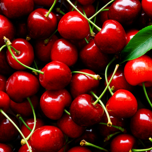 Cherry On Top┃ Handcrafted Artisan Perfume