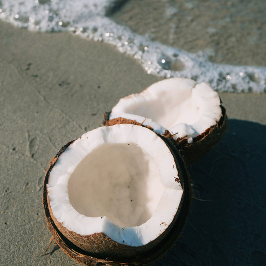 Coconut Crush┃ Perfume Body Oil
