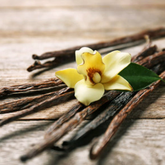 Vanilla Kisses┃ Perfume Oil